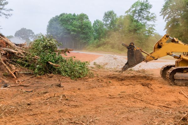 Cost of Forestry Mulching Service in Park City
