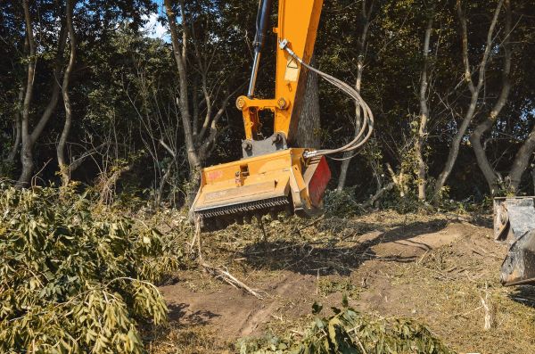 Brush Removal Service in Park City