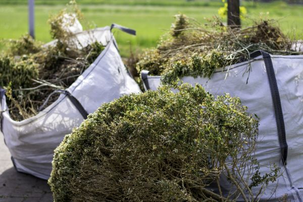 Cost of Bushes Clearing in Park City