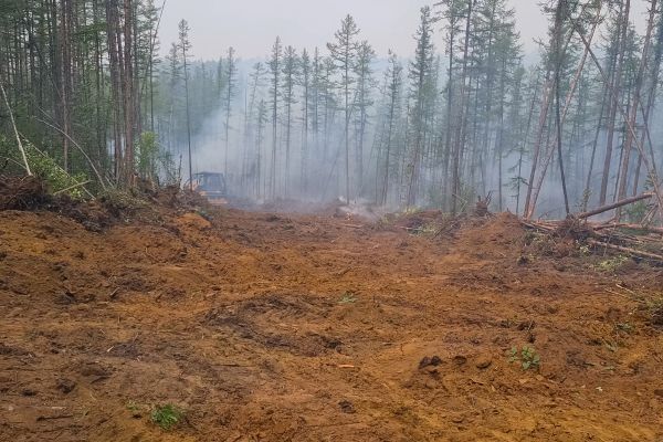 Cost of Hill Clearing in Park City
