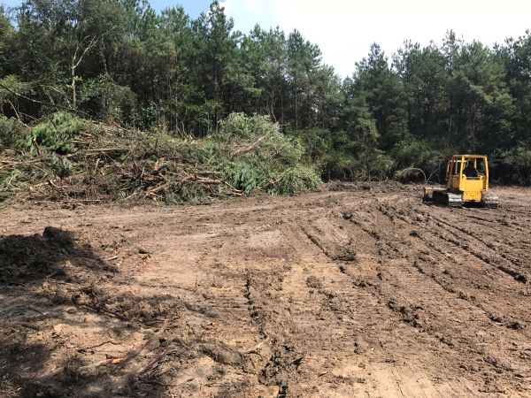 Cost of Thicket Clearing in Park City