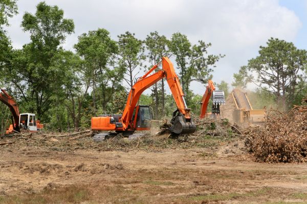 Cost of Commercial Lot Clearing in Park City