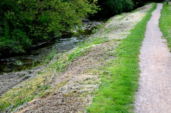 Cost of Trail Cutting in Park City