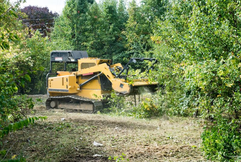Efficient Vegetation Removal
