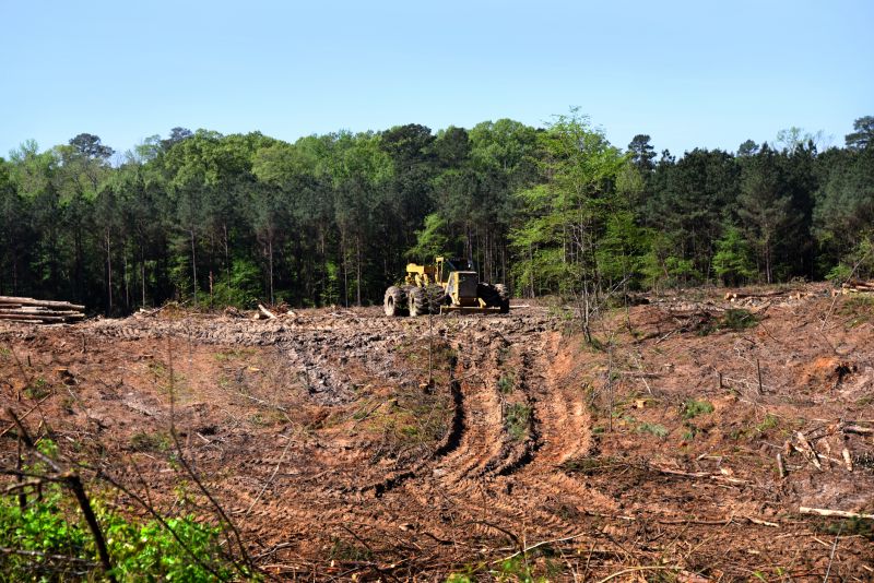 Efficient Land Clearing Process